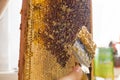 Cleaning honeycomb from wax before pumping out honey