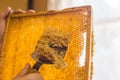 Cleaning honeycomb from wax before pumping out honey