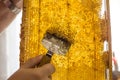 Cleaning honeycomb from wax before pumping out honey