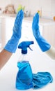 Cleaning house concept Royalty Free Stock Photo