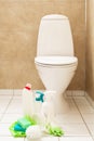 Cleaning items gloves brush white toilet bowl bathroom Royalty Free Stock Photo