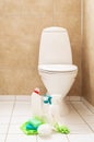 Cleaning items gloves brush white toilet bowl bathroom Royalty Free Stock Photo