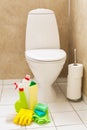 Cleaning items gloves brush white toilet bowl bathroom Royalty Free Stock Photo