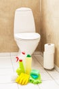 Cleaning items gloves brush white toilet bowl bathroom Royalty Free Stock Photo