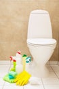 Cleaning items gloves brush white toilet bowl bathroom Royalty Free Stock Photo