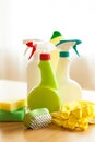 Cleaning items household spray brush sponge glove Royalty Free Stock Photo