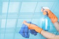 The cleaning lady shows spray and blue cloth Royalty Free Stock Photo