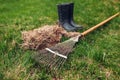 Cleaning lawn from dry grass with a rake in spring garden. Heap of grass with boots and tool