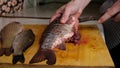 cleaning live fish with a knife, butchering crucian carp