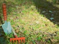 Garden cleaning, small shovel, rake, Royalty Free Stock Photo