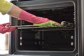 Cleaning the oven. Clean oven in kitchen. Royalty Free Stock Photo