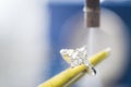 Cleaning of precious diamond ring Royalty Free Stock Photo