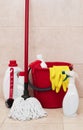 Cleaning products closeup Royalty Free Stock Photo