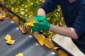 Cleaning the rain gutter during autumn Royalty Free Stock Photo