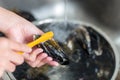 Cleaning Raw Mussel with Brush Royalty Free Stock Photo