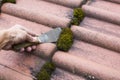 Cleaning roof moos off with spatula Royalty Free Stock Photo