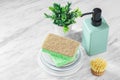 Cleaning and scrub sponge on plates with dish soap bottle and brushes on white marble kitchen counter Royalty Free Stock Photo