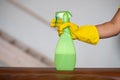The girl puts on a yellow rubber glove. Hand holding green spray bottle Royalty Free Stock Photo