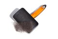 Cleaning Sleeker for Fur Dog Hairy Dog with black dog hair isolated on white background