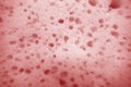 Cleaning sponge surface close up in red color Royalty Free Stock Photo