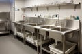 cleaning stations with sinks, soap dispensers and drying racks for dishes