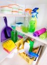 Cleaning supplies in pantry Royalty Free Stock Photo