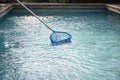 Cleaning swimming pool of fallen leaves with blue skimmer net Royalty Free Stock Photo