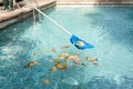 Cleaning swimming pool of fallen leaves with blue skimmer Royalty Free Stock Photo