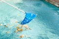 Cleaning swimming pool of fallen leaves with blue skimmer Royalty Free Stock Photo