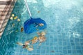 Cleaning swimming pool of fallen leaves with blue skimmer Royalty Free Stock Photo