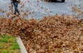 Cleaning the territory from leaves in autumn people with brooms, raking autumn leaves