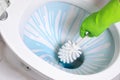Cleaning toilet bowl using brush and detergent Royalty Free Stock Photo