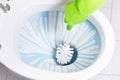 Cleaning toilet bowl Royalty Free Stock Photo