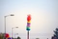 Selective blur on a rainbow feather duster, multicolor, made of artificial feathers, on display outdoors.
