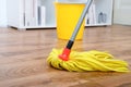 Cleaning tools on parquet Royalty Free Stock Photo