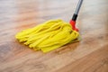 Cleaning tools on parquet floor Royalty Free Stock Photo