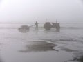 Cleaning tractor in foggy weather on the beach of Sainte CÃ©cile Plage in Picardie Royalty Free Stock Photo