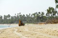 Cleaning of tropical beach Royalty Free Stock Photo