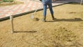 Cleaning up the grass with a rake. Aerating and scarifying the lawn