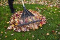 Cleaning up Yard during Autumn