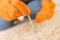 Cleaning white carpet pile from chewing gum Royalty Free Stock Photo