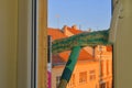 Cleaning windows with a squeegee. Cleaning concept. Washing window, close up. Looking through window. Royalty Free Stock Photo