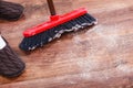 Cleaning woman sweeping wooden floor