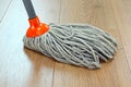 Cleaning wooden floor Royalty Free Stock Photo