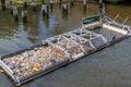 Cleaning of Yarra river