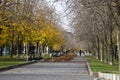 Cleaning of yellow leaves on the embankment of the city of Dnepr