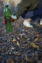 Cleans nature of plastic. Female hands put a plastic bottle in a black trash bag, close-up Royalty Free Stock Photo