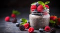 Cleansing, dieting, healthy eating, fitness menu concept. Chia pudding with fresh berries in a jar Royalty Free Stock Photo