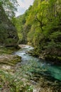 A clear alpine stream of the Vintgar Gorge in Slovenia