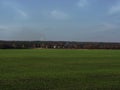 Field with young sprouts of wheat.